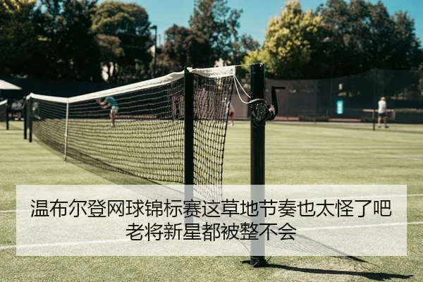 温布尔登网球锦标赛这草地节奏也太怪了吧老将新星都被整不会