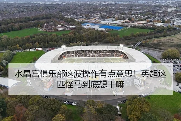 水晶宫俱乐部这波操作有点意思！英超这匹怪马到底想干嘛 | kaiyun