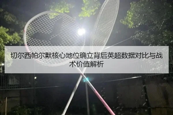 切尔西帕尔默核心地位确立背后英超数据对比与战术价值解析 | kaiyun