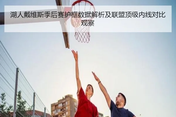 湖人戴维斯季后赛护框数据解析及联盟顶级内线对比观察